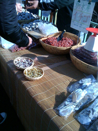 tsukiji-market06.jpg