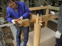 岡本正生