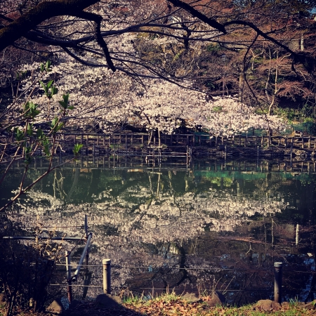51B70D4E-AA48-4027-ACD7-97769E540709.jpeg